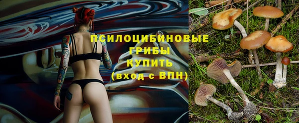 метадон Армянск